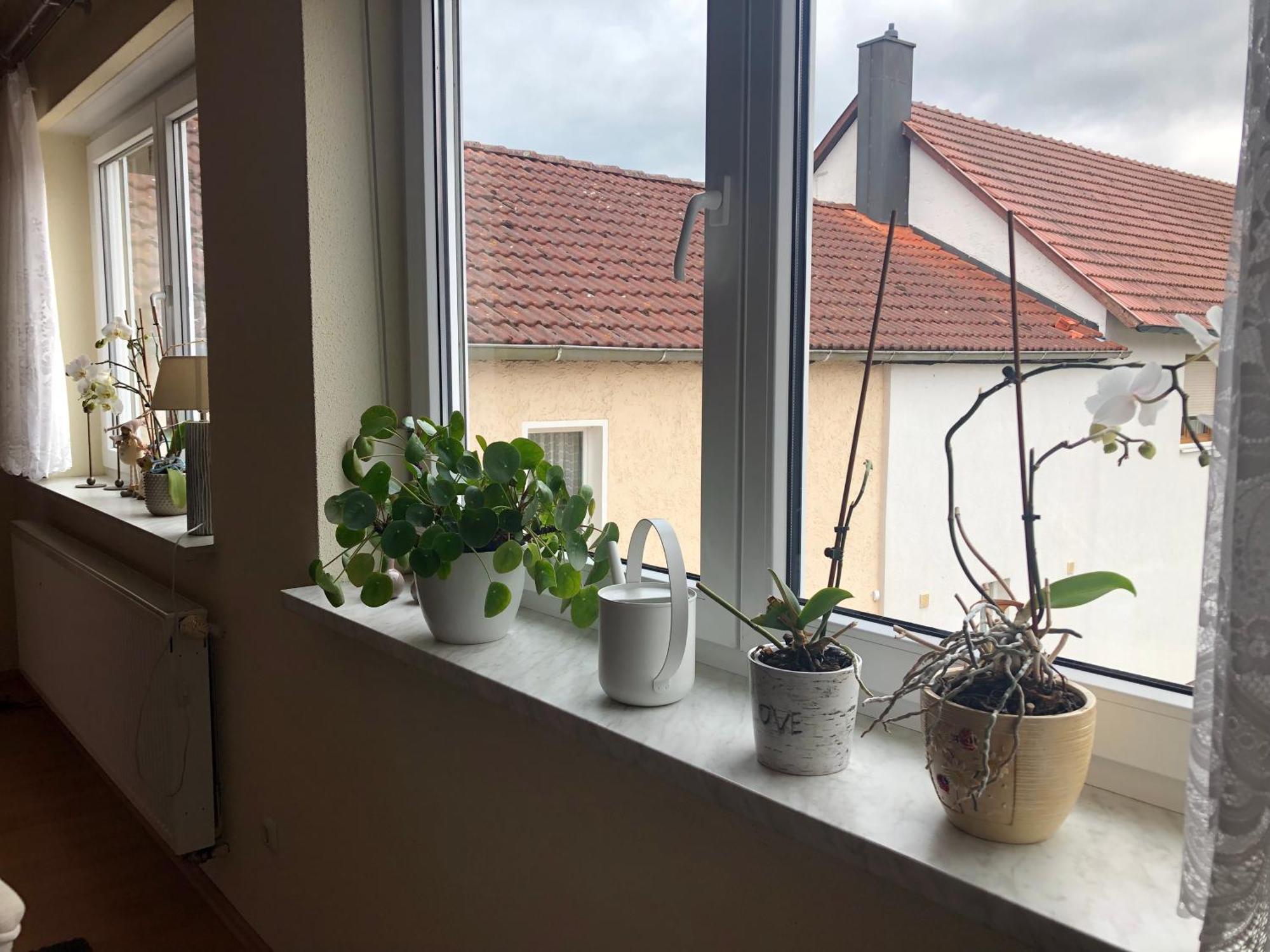 Ferienwohnung Am Grünen Band Hellingen Exterior foto